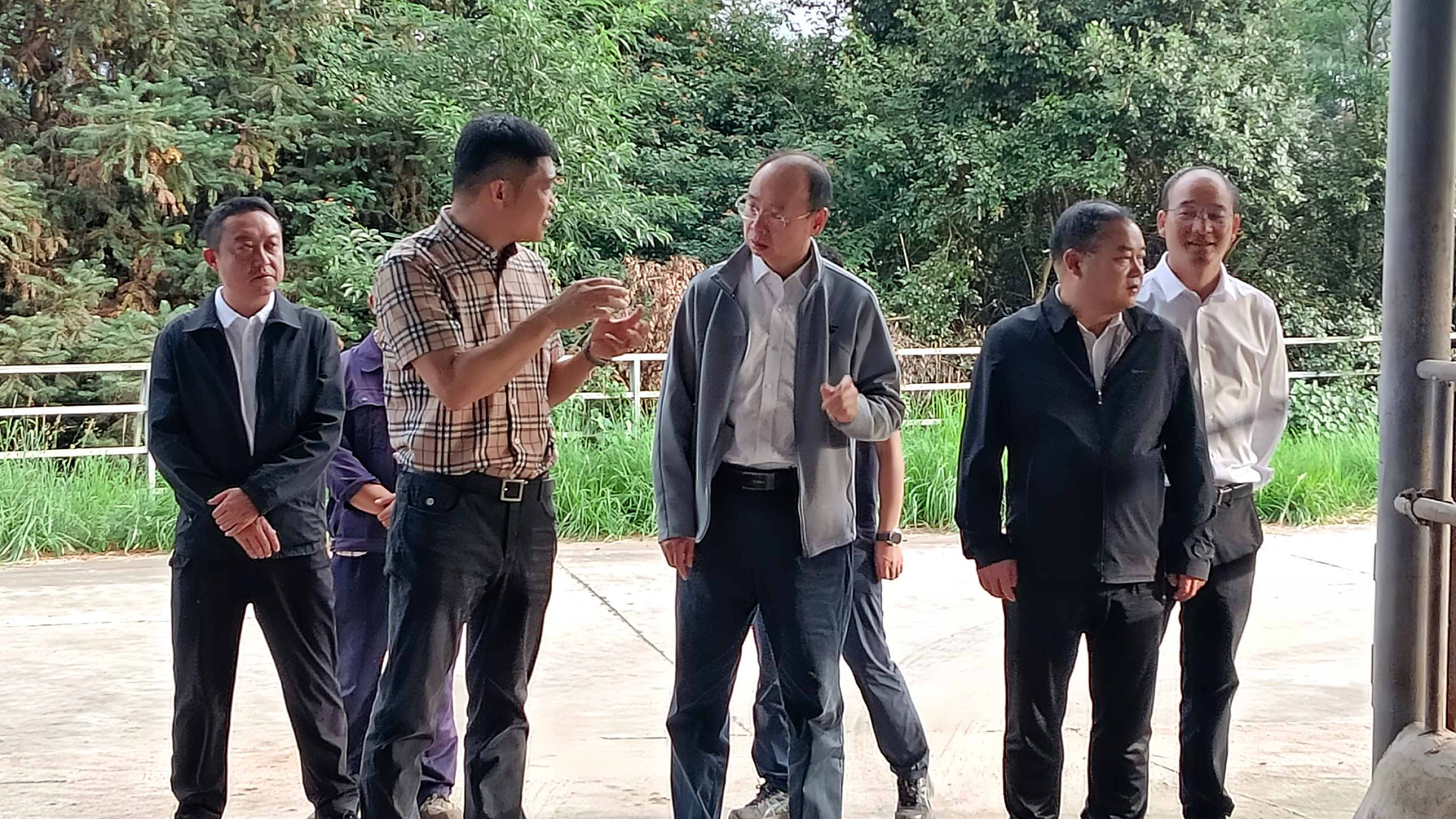 保山市市長(zhǎng)率隊(duì)調(diào)研恒益集團(tuán)云嶺牛產(chǎn)業(yè)發(fā)展情況